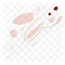 Rabbit Chinese Bunny Icon