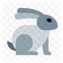 Rabbit Bunny Animal Icon