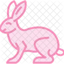 Rabbit Mammal Bunny Icon