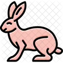 Rabbit Mammal Bunny Icon