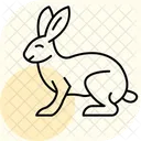 Rabbit Icon