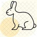 Rabbit Pet Bunny Icon