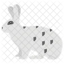 Rabbit Buck Animal Rodent Icon
