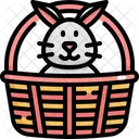 Rabbit Bunny Basket Icon