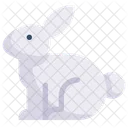 Easter Day Egg Happy Easter Icon