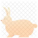 Animal Pet Bunny Icon