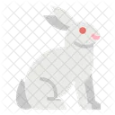 Rabbit Bunny Easter Icon