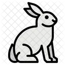 Rabbit Bunny Easter Icon