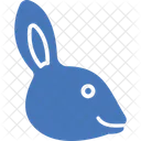 Rabbit  Icon