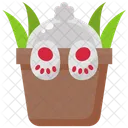 Rabbit Bunny Chow Wild Animals Icon