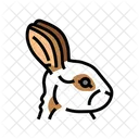 Rabbit Animal Wild Icon