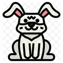 Rabbit  Icon