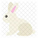 Rabbit  Icône