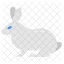 Rabbit Bunny Hare Icon