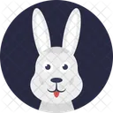 Rabbit Hare Bunny Icon