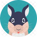 Rabbit Hare Bunny Icon