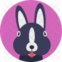 Rabbit Hare Bunny Icon