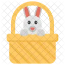 Rabbit In Basket  Icon