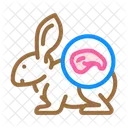 Rabbit Meat  Icon