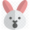 Rabbit Shock Animal Wildlife Icon