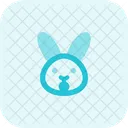 Rabbit Shock  Icon