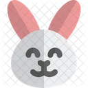 Rabbit Smiling Animal Wildlife Icon