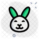 Rabbit Smiling  Icône