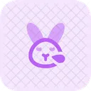 Rabbit Snoring Icon