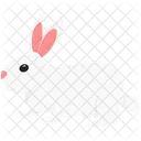 Bunny Rabbit Animal Icône