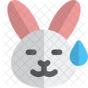 Rabbit Sweat  Icon