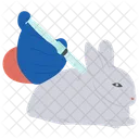 Rabbit Treatment Ill Rabbit Pet Icon