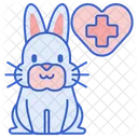 Rabbit Vet Rabbit Veterinary Rabbit Icon