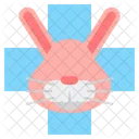 Rabbit Vet Icon