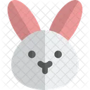 Rabbit Without Mouth Animal Wildlife Icon