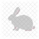Rabbite Pet Meet Icon