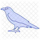 Rabe Vogel Schwarz Symbol