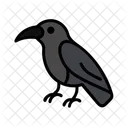 Rabe Vogel Dunkel Symbol