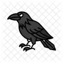Rabe Vogel Dunkel Symbol