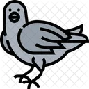 Rabe Krahe Vogel Symbol