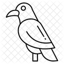 Rabe  Symbol