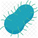 Rabies Viral Disease Icône