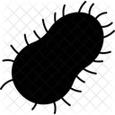 Rabies Viral Disease Icône