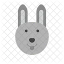 Rabbit Zodiac Rabbit Chinese Icon
