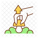 Raccolta dei funghi  Icon