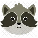 Animal Raccoon Wild Icon