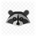 Raccoon Animal Zoo Icon