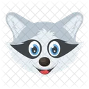 Raccoon Head Face Icon