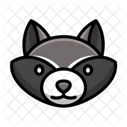 Raccoon  Icon