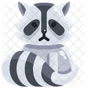 Raccoon Zoo Zoology Icon