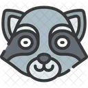 Raccoon  Icon